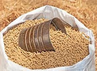 تصویر 3 از قیمت خرید مکمل دامی گوسفندی + فروش ویژه